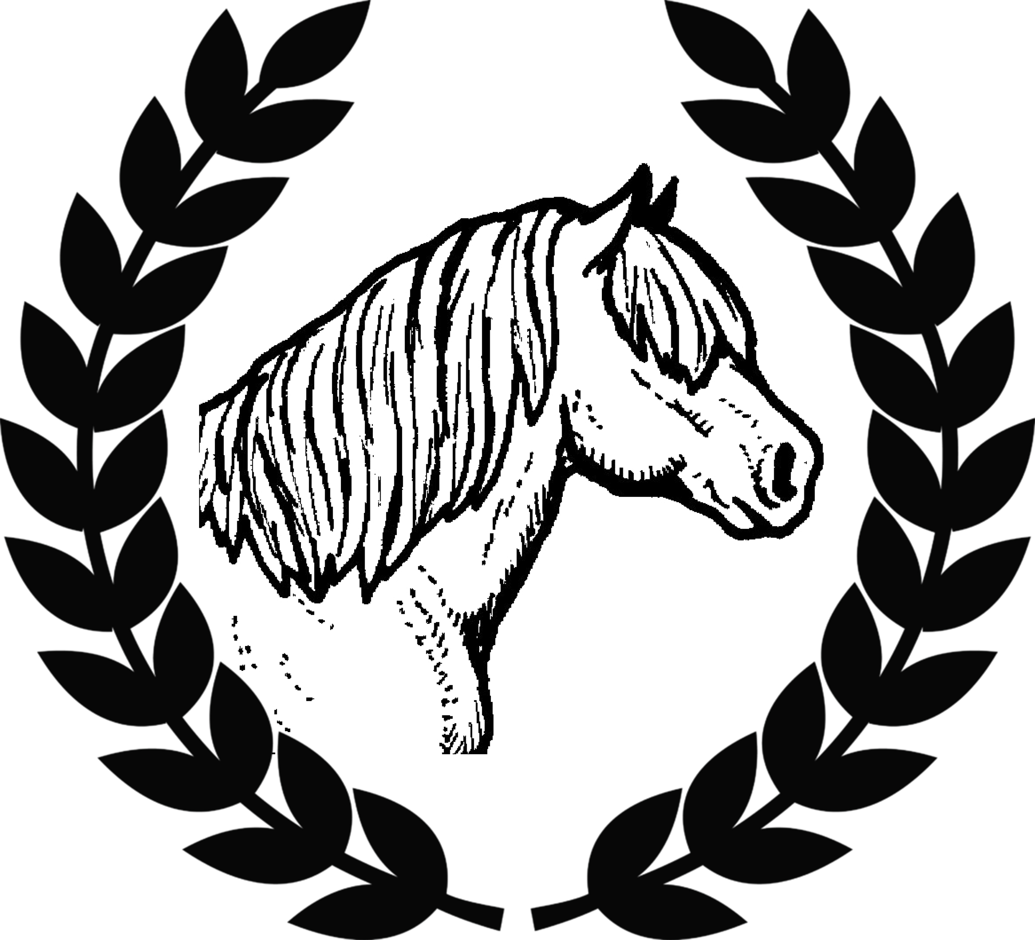 South West Shetland Pony Group